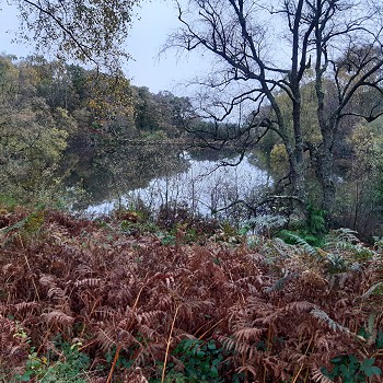 River view self catering cottage