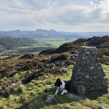 dog walking north wales self catering holiday