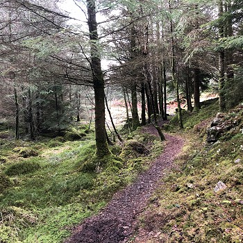 forrest walk north wales self catering cottage