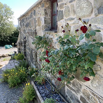 Stable - Outside - self catering accommodation